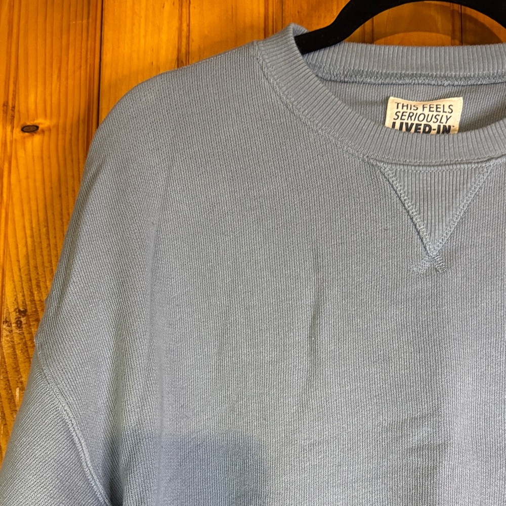 American Eagle Outfitters Sky Blue This Feels Seriously Lived In Sweatshirt - Picture 4 of 8